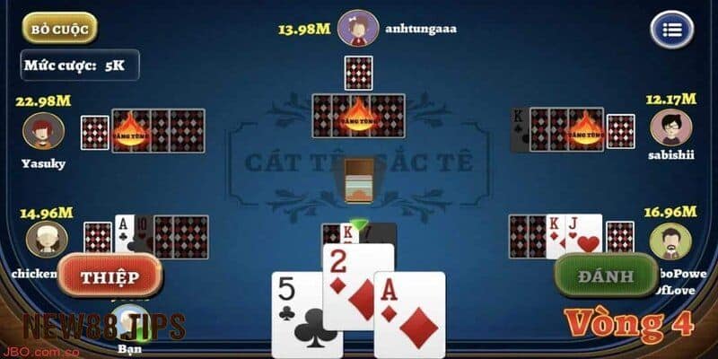 Các thuật ngữ thông dụng trong bài Catte