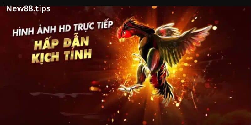 Giao diện nổi bật, bắt mắt